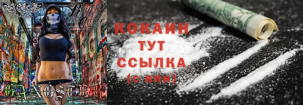 крисы Лагань