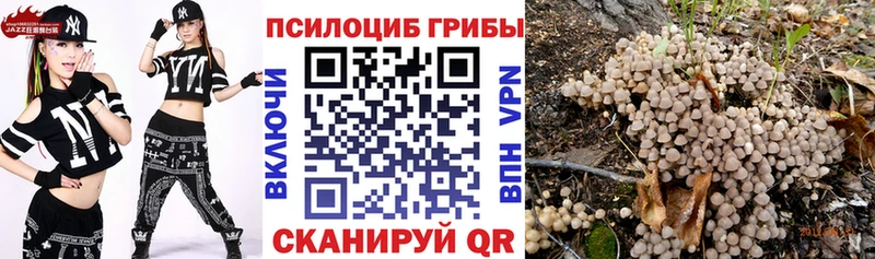 что такое наркотик  Сосновоборск  hydra ONION  Галлюциногенные грибы мицелий 