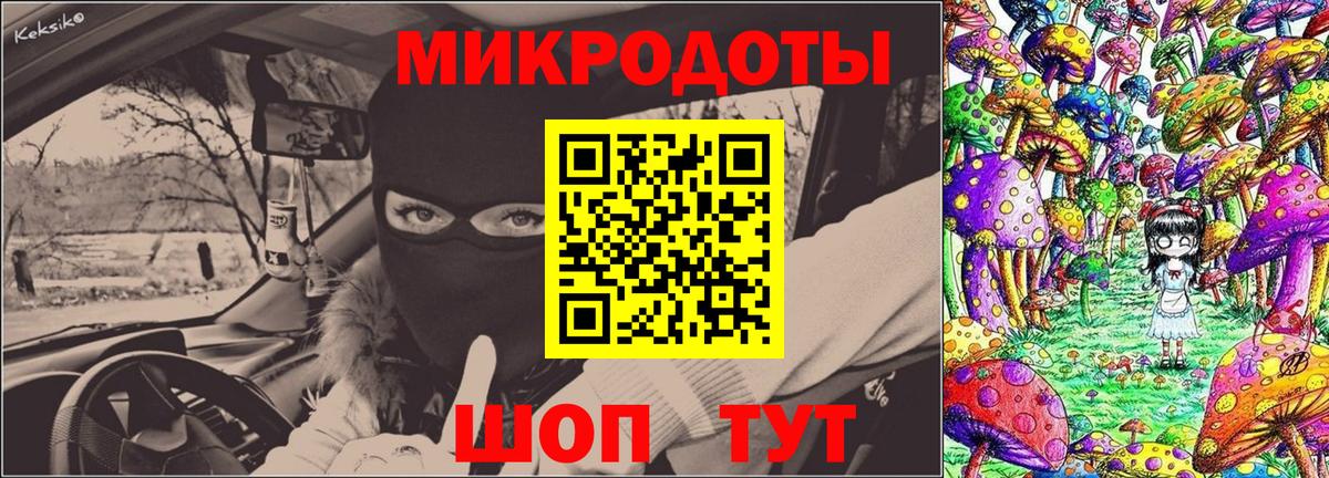 Псилоцибиновые грибы Psilocybe Сосновоборск
