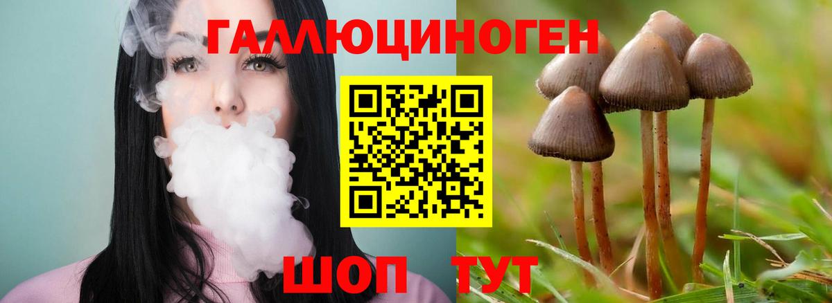Галлюциногенные грибы MAGIC MUSHROOMS  наркота  Сосновоборск 