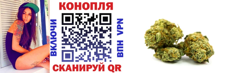 Марихуана сатива  Сосновоборск 